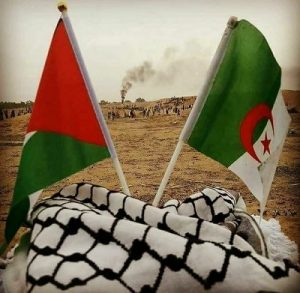 الجزایر و فلسطین